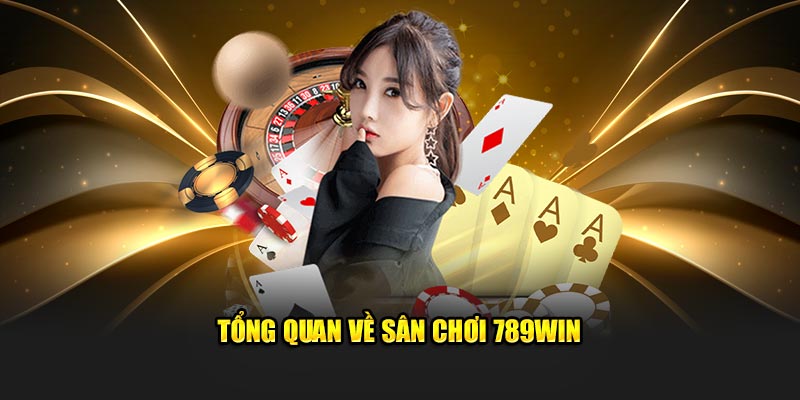 Tổng quan cơ bản về sân chơi 789win